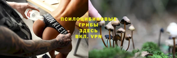 трава Майский