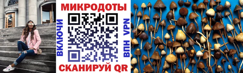 Галлюциногенные грибы мухоморы  Темников 