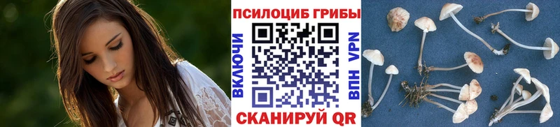 Галлюциногенные грибы Magic Shrooms Темников